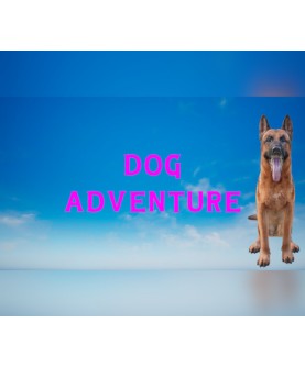 Dog Adventure Steam Key GLOBAL